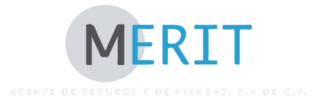 Merit