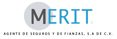 Merit
