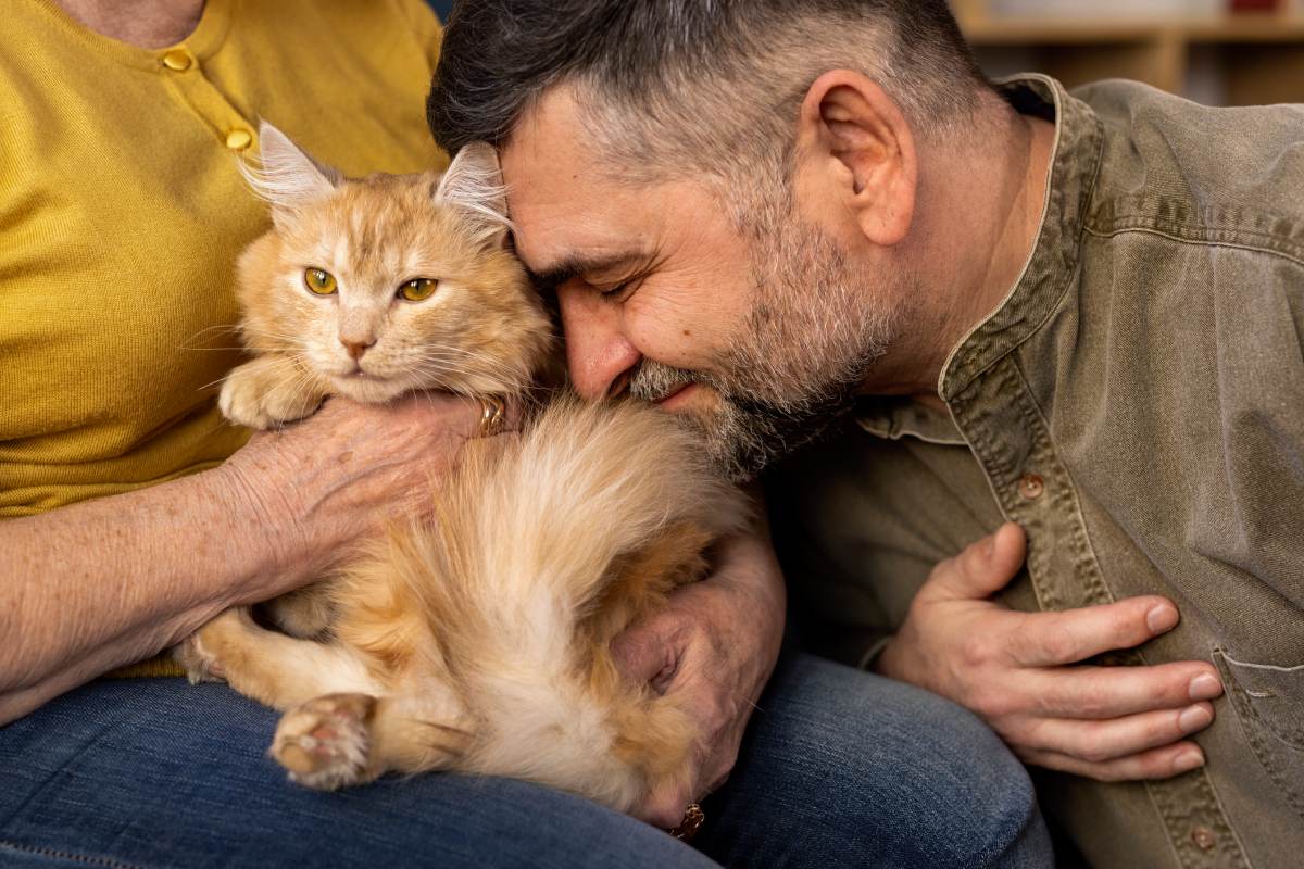 elderly-people-with-cat-pet-min elderly-people-with-cat-pet-min