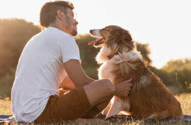 Eutanasia para Perros Qué se Necesita y Cuándo Considerarla
