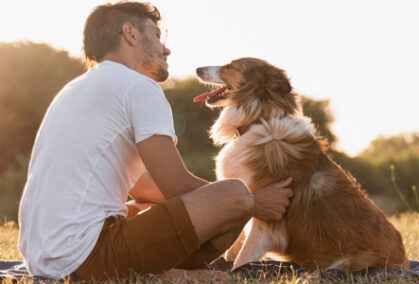 Eutanasia para Perros Qué se Necesita y Cuándo Considerarla
