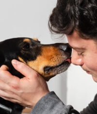 Planes de Previsión para Mascotas Porque Su Despedida También Se Planea con Amor