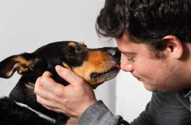 Planes de Previsión para Mascotas Porque Su Despedida También Se Planea con Amor