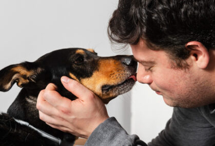 Planes de Previsión para Mascotas Porque Su Despedida También Se Planea con Amor