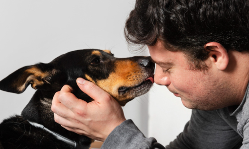 Planes de Previsión para Mascotas Porque Su Despedida También Se Planea con Amor Planes de Previsión para Mascotas Porque Su Despedida También Se Planea con Amor