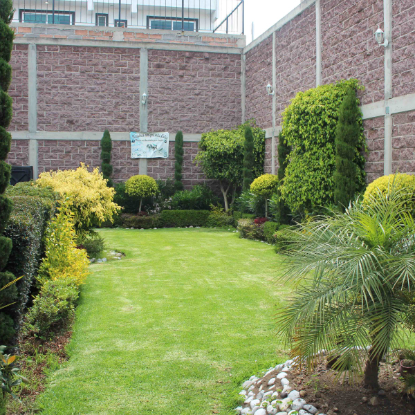 tlahuac9